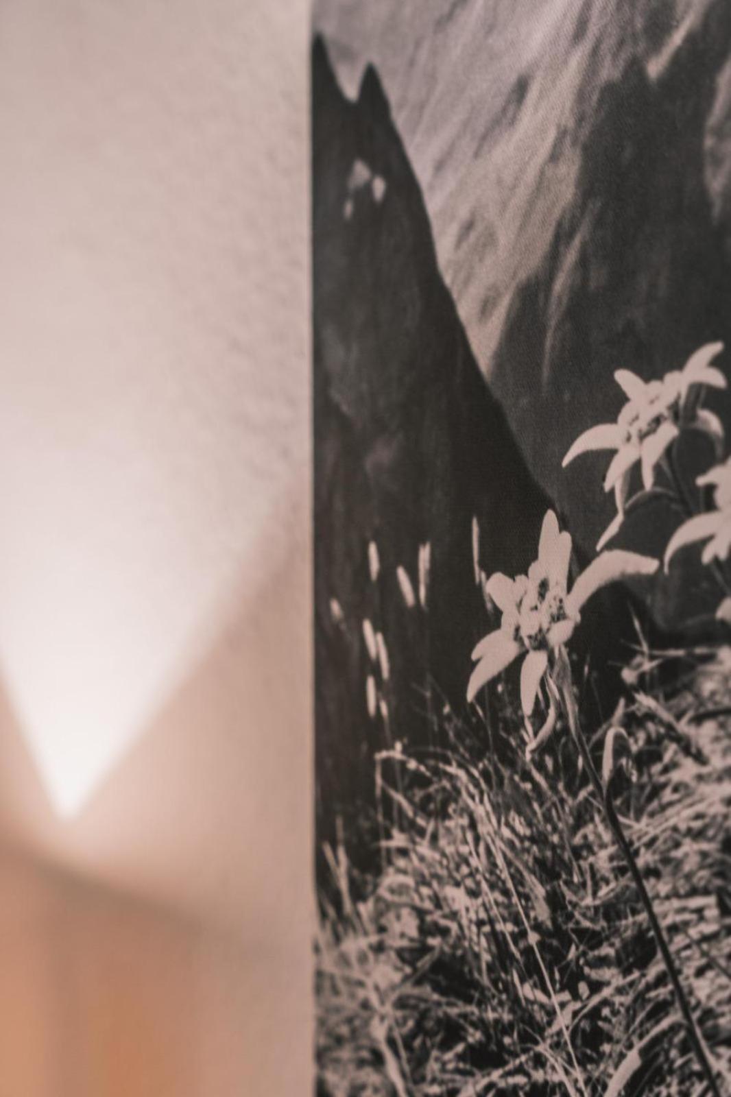 Allgaeu-Glueck Gruenenbach Grunenbach エクステリア 写真